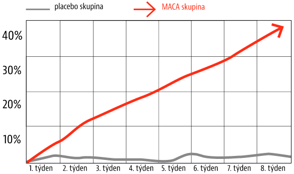 Graf štúdie, ktorá potvrdzuje, že MACA nie je založená na placebo efekte, ale že zlepšuje libido až o 40%